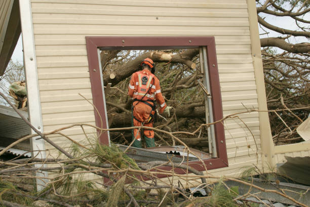 Best Stump Grinding and Removal  in Humboldt, IA